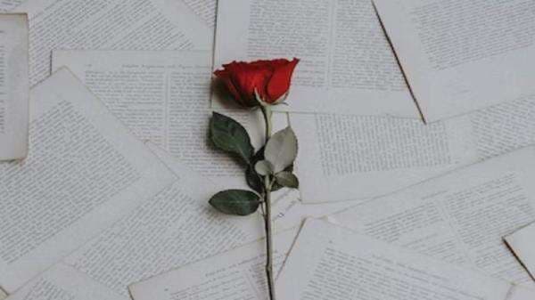 1 Mawar TikTok Berapa Rupiah? Peluang Mendapatkan Uang dari Gift! 1 Mawar TikTok Berapa Rupiah? Peluang Mendapatkan Uang dari Gift!