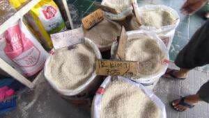 Menko Pangan Zulkifli Hasan Optimis Produksi Beras Naik di 2025 Menko Pangan Zulkifli Hasan Optimis Produksi Beras Naik di 2025