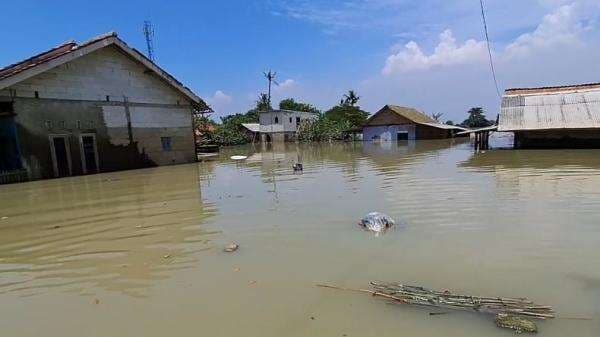 Banjir 1,5 Meter Rendam 140 Rumah di Karawang, Warga Terpaksa Mengungsi Banjir 1,5 Meter Rendam 140 Rumah di Karawang, Warga Terpaksa Mengungsi