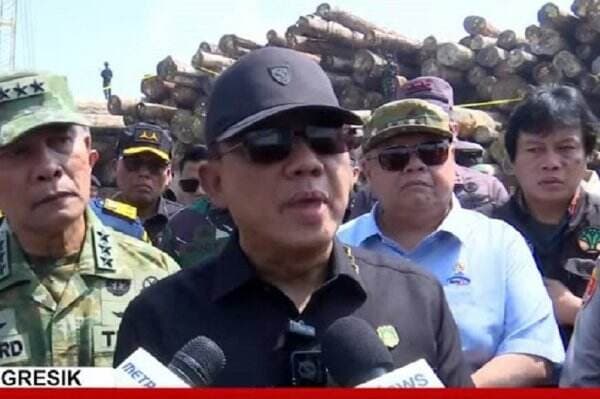 4.610 Meter Kubik Kayu Disita di Gresik, Hasil Pembalakan Liar Hutan Kepulauan Mentawai 4.610 Meter Kubik Kayu Disita di Gresik, Hasil Pembalakan Liar Hutan Kepulauan Mentawai