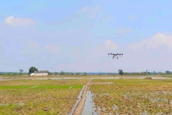 Bupati Bojonegoro Buat Drone Gratis untuk Petani, Dorong Pertanian Efisien dan Aman Bupati Bojonegoro Buat Drone Gratis untuk Petani, Dorong Pertanian Efisien dan Aman