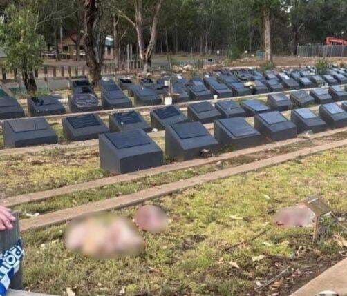 Pemakaman Muslim Sydney Divandalisme dengan Kepala Babi, Diduga Balasan Penembakan Bondi Pemakaman Muslim Sydney Divandalisme dengan Kepala Babi, Diduga Balasan Penembakan Bondi