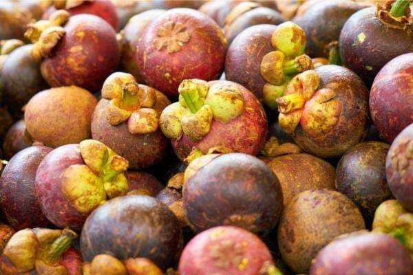 26 Buah Terbaik di Asia Tenggara, Manggis Indonesia Raih Peringkat Pertama 26 Buah Terbaik di Asia Tenggara, Manggis Indonesia Raih Peringkat Pertama