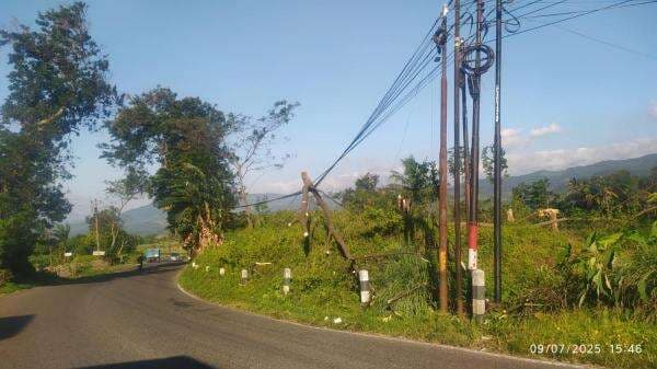 Diterpa Angin Kencang, Sebuah Pohon Patah Timpa Kabel Telkom di Jalan Raya Sodong-Belik Diterpa Angin Kencang, Sebuah Pohon Patah Timpa Kabel Telkom di Jalan Raya Sodong-Belik