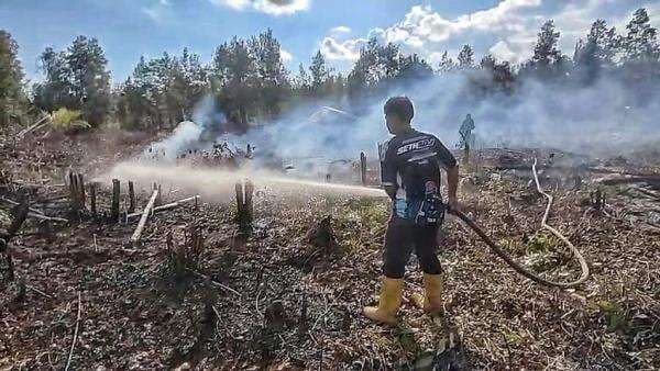 Lahan Gambut 0,35 Hektare Terbakar di Bukit Batu Palangka Raya, Petugas Terkendala Akses Jalan Lahan Gambut 0,35 Hektare Terbakar di Bukit Batu Palangka Raya, Petugas Terkendala Akses Jalan