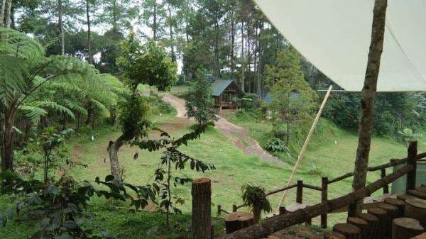 Kopi Gede Sukabumi: Kuliner, Camping, dan Petualangan Alam dalam Satu Destinasi Kopi Gede Sukabumi: Kuliner, Camping, dan Petualangan Alam dalam Satu Destinasi