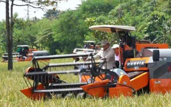 Satu Tahun Pemerintahan Prabowo: Sektor Pertanian Unjuk Gigi Perkuat Ketahanan Pangan Satu Tahun Pemerintahan Prabowo: Sektor Pertanian Unjuk Gigi Perkuat Ketahanan Pangan