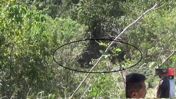 Bangkai Tronton Masih di Jurang 80 Meter Letter S Waingapu, Jadi Tontonan Warga yang Melintas Bangkai Tronton Masih di Jurang 80 Meter Letter S Waingapu, Jadi Tontonan Warga yang Melintas