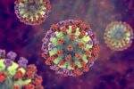 3 Persamaan Influenza A dan Covid-19 yang Menyerang China 3 Persamaan Influenza A dan Covid-19 yang Menyerang China