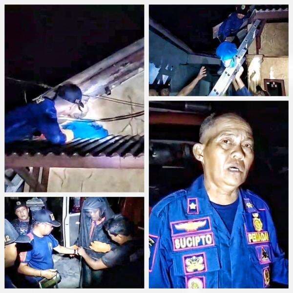 Damkar Palangka Raya Evakuasi Sarang Tawon Vespa yang Sengat Balita, Proses Berlangsung 45 Menit Damkar Palangka Raya Evakuasi Sarang Tawon Vespa yang Sengat Balita, Proses Berlangsung 45 Menit