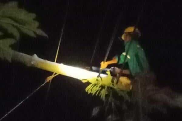 Gangguan Listrik di Padaherang, Pangandaran: PLN Terapkan Sistem Borderless untuk Pemulihan Cepat Gangguan Listrik di Padaherang, Pangandaran: PLN Terapkan Sistem Borderless untuk Pemulihan Cepat