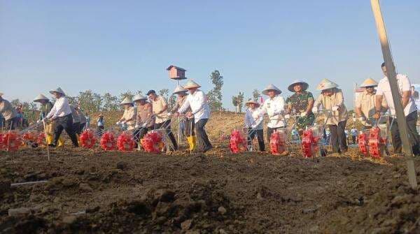 Polri Dukung Ketahanan Pangan, Targetkan Tanam Jagung 1 Juta Hektare Polri Dukung Ketahanan Pangan, Targetkan Tanam Jagung 1 Juta Hektare