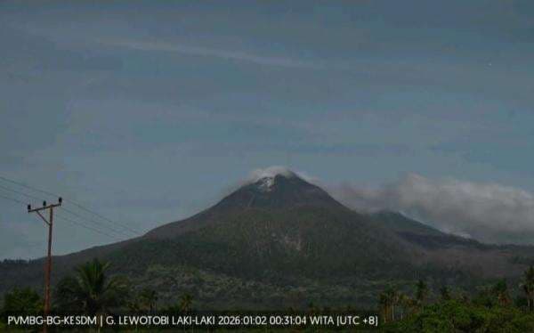 Gunung Lewotobi Laki-laki Diguncang 97 Kali Gempa Vulkanik Dalam, Status Awas Gunung Lewotobi Laki-laki Diguncang 97 Kali Gempa Vulkanik Dalam, Status Awas