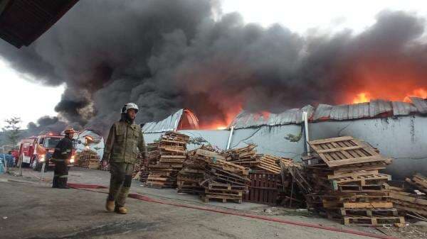 Pabrik Sepeda di Kawasan Industri Terboyo Semarang Terbakar, 15 Mobil Damkar Berjibaku Pabrik Sepeda di Kawasan Industri Terboyo Semarang Terbakar, 15 Mobil Damkar Berjibaku