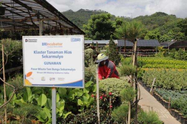 Dorong UMKM, BRI (BBRI) Kucurkan Pembiayaan ke 41 Ribu Klaster Usaha Dorong UMKM, BRI (BBRI) Kucurkan Pembiayaan ke 41 Ribu Klaster Usaha