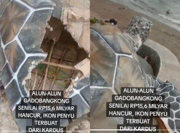 3 Fakta Patung Penyu dari Kardus Disebut Habiskan Rp15,6 Miliar, Ternyata Segini Biaya Sebenarnya 3 Fakta Patung Penyu dari Kardus Disebut Habiskan Rp15,6 Miliar, Ternyata Segini Biaya Sebenarnya