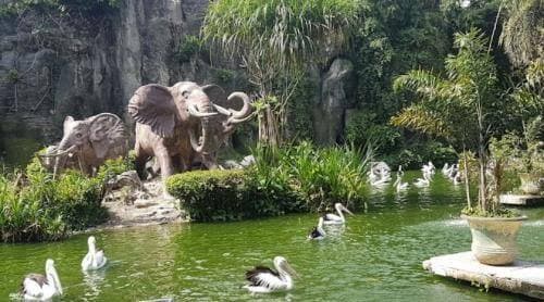 Pengunjung Ragunan Tembus 113 Ribu Orang pada Liburan Tahun Baru 2026 Pengunjung Ragunan Tembus 113 Ribu Orang pada Liburan Tahun Baru 2026