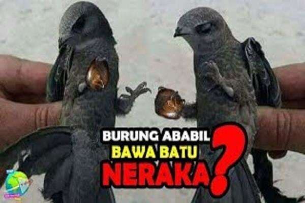 4 Makhluk Mitologi Islam Berdasarkan Al-Qur'an dan Hadis Nabi SAW 4 Makhluk Mitologi Islam Berdasarkan Al-Qur'an dan Hadis Nabi SAW