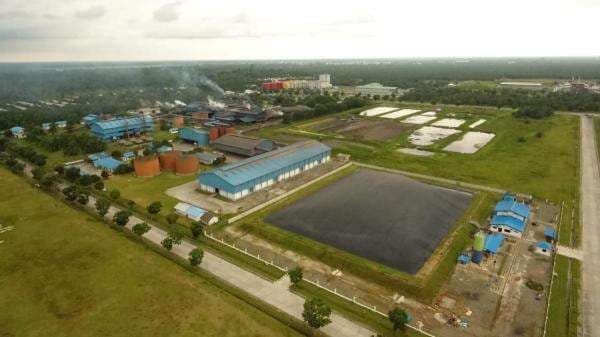 Pasok Listrik ke KEK, PLTBg Sei Mangkei Turunkan Emisi Setara 8.000 Mobil Bensin Pasok Listrik ke KEK, PLTBg Sei Mangkei Turunkan Emisi Setara 8.000 Mobil Bensin