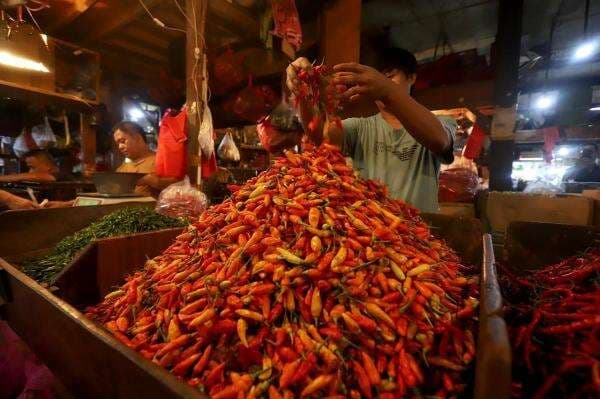 Minim Pasokan, Harga Cabai Merah di Medan Tembus Rp100.000 per Kg Minim Pasokan, Harga Cabai Merah di Medan Tembus Rp100.000 per Kg