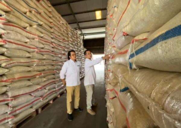 Serapah Gabah Tertinggi se-Indonesia, Bulog Indramayu: Hasil Kolaborasi yang Baik Bersama TNI Serapah Gabah Tertinggi se-Indonesia, Bulog Indramayu: Hasil Kolaborasi yang Baik Bersama TNI