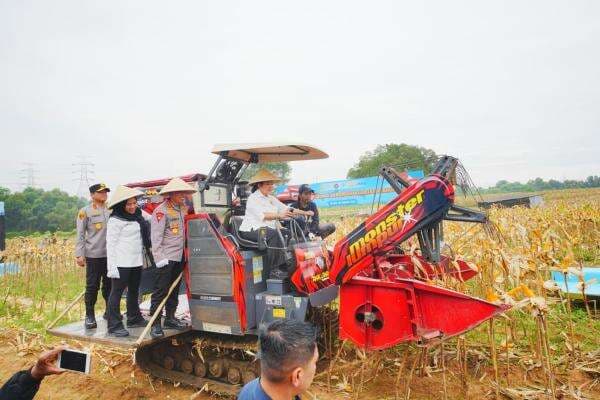 Ikut Panen Raya di Bekasi, Kapolri dan Ketua Komisi IV Komitmen Dukung Ketahanan Pangan Ikut Panen Raya di Bekasi, Kapolri dan Ketua Komisi IV Komitmen Dukung Ketahanan Pangan