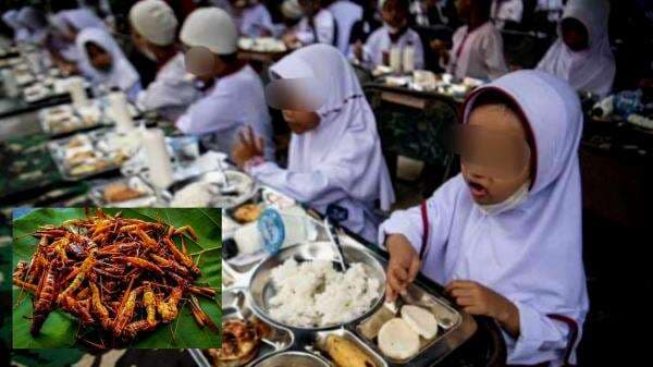 Belalang Bakal Jadi Menu MBG, Ingat Kasus 2 Warga Bojonegoro Tewas Keracunan Belalang Bakal Jadi Menu MBG, Ingat Kasus 2 Warga Bojonegoro Tewas Keracunan