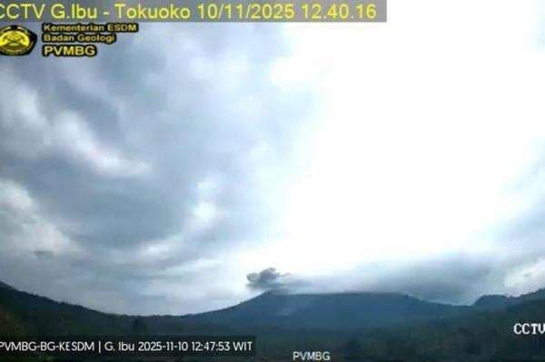 Gunung Ibu Erupsi Hari Ini, Kolom Abu Teramati di Langit Halmahera Barat Gunung Ibu Erupsi Hari Ini, Kolom Abu Teramati di Langit Halmahera Barat