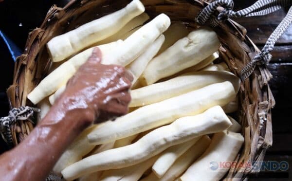 5 Contoh Teks Argumentasi Tentang Singkong Lengkap dengan Strukturnya 5 Contoh Teks Argumentasi Tentang Singkong Lengkap dengan Strukturnya