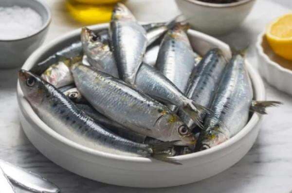 5 Fakta Ikan Sarden, Nomor 4 Ampuh untuk Kesehatan Kulit 5 Fakta Ikan Sarden, Nomor 4 Ampuh untuk Kesehatan Kulit