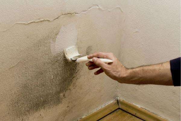 5 Tips Jaga Rumah di Musim Hujan, Biar Gak Jamuran 5 Tips Jaga Rumah di Musim Hujan, Biar Gak Jamuran