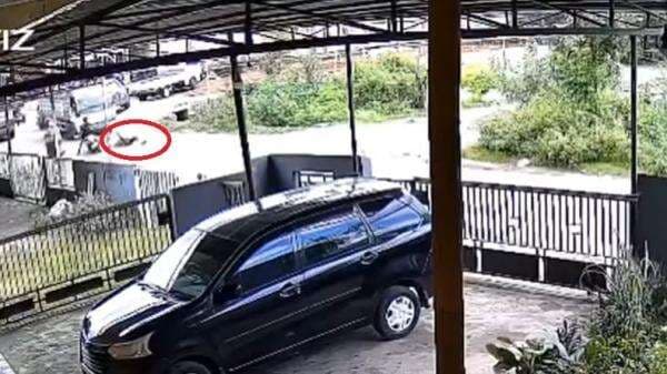 Ngeri! Bocah Perempuan Terpental dari Motor Masuk Kolong Truk di Maros Terekam CCTV Ngeri! Bocah Perempuan Terpental dari Motor Masuk Kolong Truk di Maros Terekam CCTV