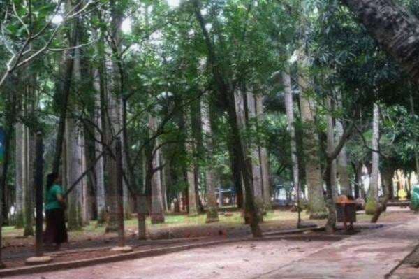 5 Tempat Lari Malam di Tangerang Selatan, Cocok Buat Lepas Penat Setelah Kerja! 5 Tempat Lari Malam di Tangerang Selatan, Cocok Buat Lepas Penat Setelah Kerja!