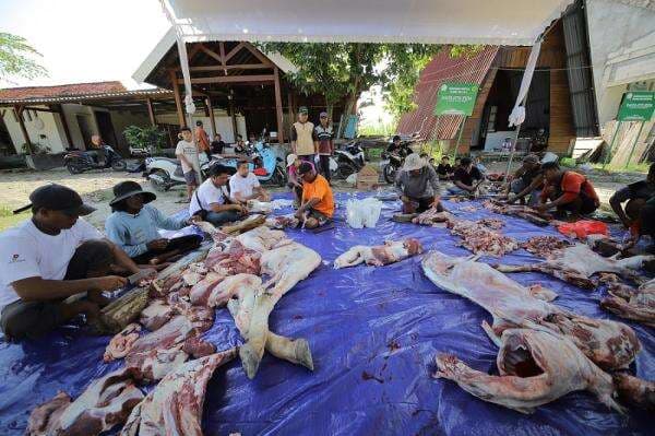 Pekerja Lapangan Banyu Urip Gotong Royong Bagikan 61 Hewan Kurban ke 14 Desa Pekerja Lapangan Banyu Urip Gotong Royong Bagikan 61 Hewan Kurban ke 14 Desa