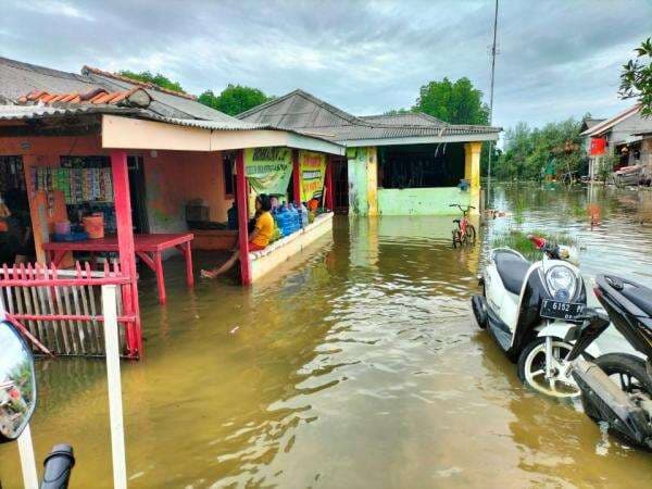 5 Desa di Muaragembong Bekasi Terendam Banjir Rob, 3.000 KK Terdampak 5 Desa di Muaragembong Bekasi Terendam Banjir Rob, 3.000 KK Terdampak