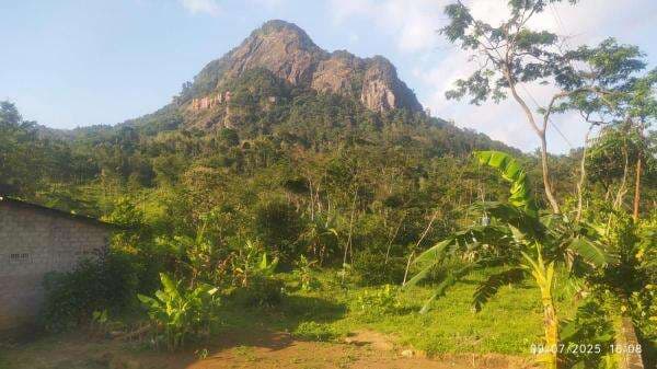 Penampakan Gunung Jimat di Musim Kemarau: Gersang Namun Tetap Menawan! Penampakan Gunung Jimat di Musim Kemarau: Gersang Namun Tetap Menawan!