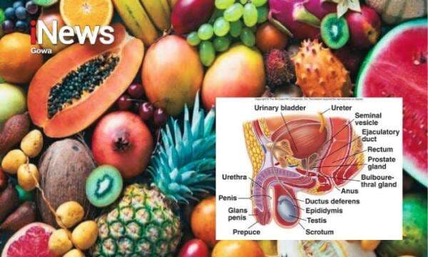 Mau Tetap Jantan dan Perkasa di Usia 40+? Konsumsi Rutin 10 Buah Ini! Mau Tetap Jantan dan Perkasa di Usia 40+? Konsumsi Rutin 10 Buah Ini!