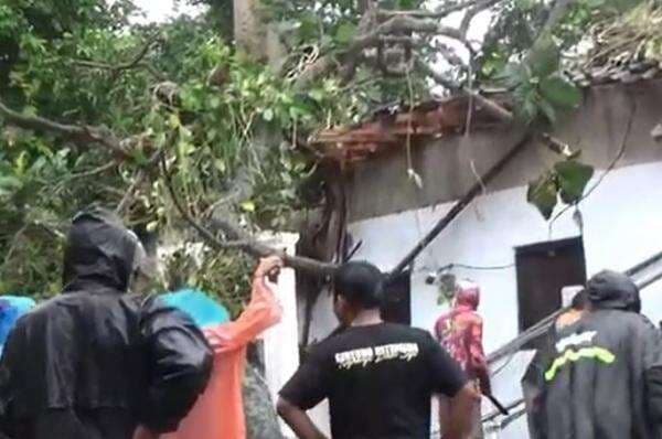 Pohon Tumbang Timpa Rumah di Boyolali, 8 Orang Satu Keluarga Terluka Pohon Tumbang Timpa Rumah di Boyolali, 8 Orang Satu Keluarga Terluka