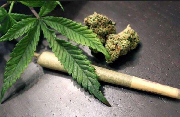 Berapa Lama Efek Ganja Bertahan? Fakta Ini Perlu Kamu Ketahui Berapa Lama Efek Ganja Bertahan? Fakta Ini Perlu Kamu Ketahui