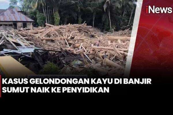 Kasus Kayu Gelondongan Terseret Banjir di Sumut Naik Penyidikan, Ini Temuan di TKP Kasus Kayu Gelondongan Terseret Banjir di Sumut Naik Penyidikan, Ini Temuan di TKP