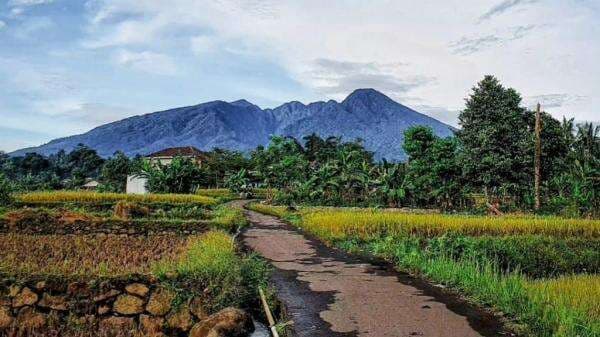 3 Jalur Alternatif ke Purwakarta yang Wajib Diketahui Pengendara agar Terhindar dari Macet Parah 3 Jalur Alternatif ke Purwakarta yang Wajib Diketahui Pengendara agar Terhindar dari Macet Parah