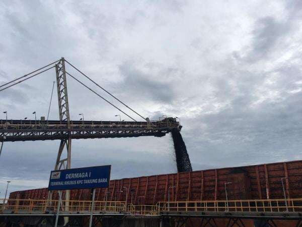 Saham Grup Bakrie Lanjut Reli, BUMI Terbang 20 Persen ke Atas Rp300 Saham Grup Bakrie Lanjut Reli, BUMI Terbang 20 Persen ke Atas Rp300