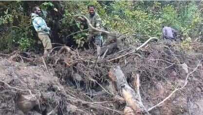 Identitas 15 Orang Hilang Disapu Banjir Bandang dan Longsor di Nduga Papua Identitas 15 Orang Hilang Disapu Banjir Bandang dan Longsor di Nduga Papua