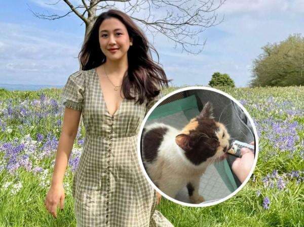 Viral Sherina Munaf Rescue Kucing Uya Kuya, Kondisi Anabul Jadi Sorotan Viral Sherina Munaf Rescue Kucing Uya Kuya, Kondisi Anabul Jadi Sorotan