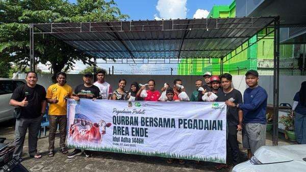 Pegadaian Area Flores Sumba Sembelih 3 Sapi dan 17 Kambing pada Idul Adha 1446 H Pegadaian Area Flores Sumba Sembelih 3 Sapi dan 17 Kambing pada Idul Adha 1446 H