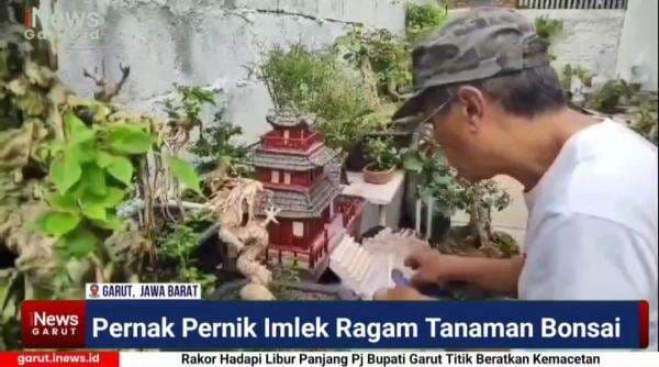 (VIDEO) Karya Lie Ming San Pecinta Bonsai Garut Buat Pernak Pernik Sambut Imlek 2576 (VIDEO) Karya Lie Ming San Pecinta Bonsai Garut Buat Pernak Pernik Sambut Imlek 2576