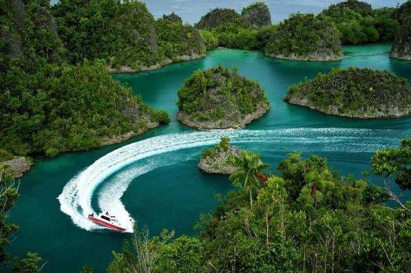 Pilihan Paket Liburan ke Raja Ampat bersama Phinisea Pilihan Paket Liburan ke Raja Ampat bersama Phinisea