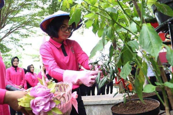 Dukung Ketahanan Pangan, Bhayangkari Cabang Mojokerto Kota Sulap Area Satpas Jadi Pekarangan Pangan Dukung Ketahanan Pangan, Bhayangkari Cabang Mojokerto Kota Sulap Area Satpas Jadi Pekarangan Pangan