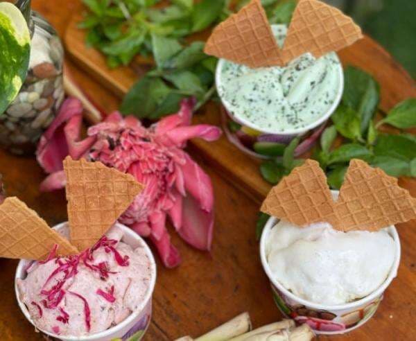 Madys Gelato & Grill Hadirkan Rasa Tradisional di Tengah Panorama Rooftop Pangandaran Madys Gelato & Grill Hadirkan Rasa Tradisional di Tengah Panorama Rooftop Pangandaran