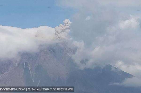 Gunung Semeru Erupsi Selasa Hari Ini, Kolom Abu Capai 600 Meter Gunung Semeru Erupsi Selasa Hari Ini, Kolom Abu Capai 600 Meter